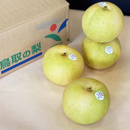 馥果FruitGO-日本鳥取二十世紀梨／原裝箱